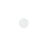 (50 pezzi) Dischi di ricarica bianchi per PODODISC misura XS - Grana 320 Staleks 2,20 €