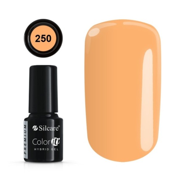 Color it! PREMIUM - Nr 250 Silcare 4,30 €