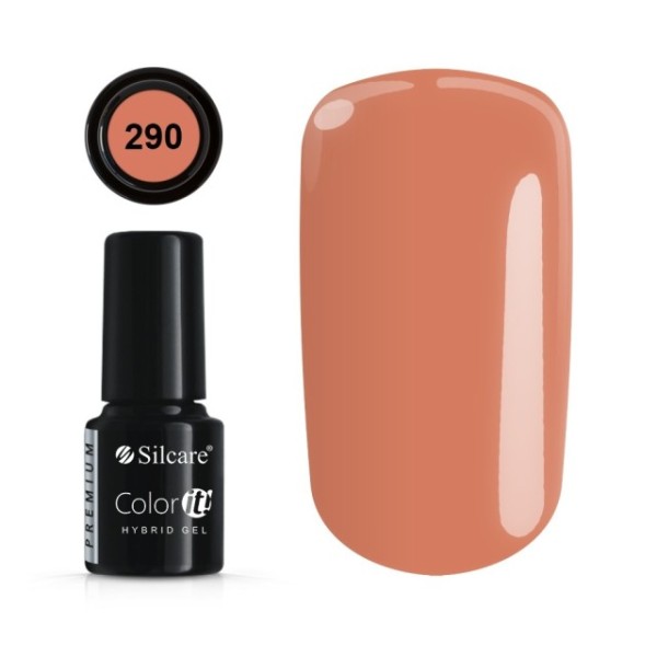 Color it! PREMIUM - Nr 290 Silcare 4,30 €