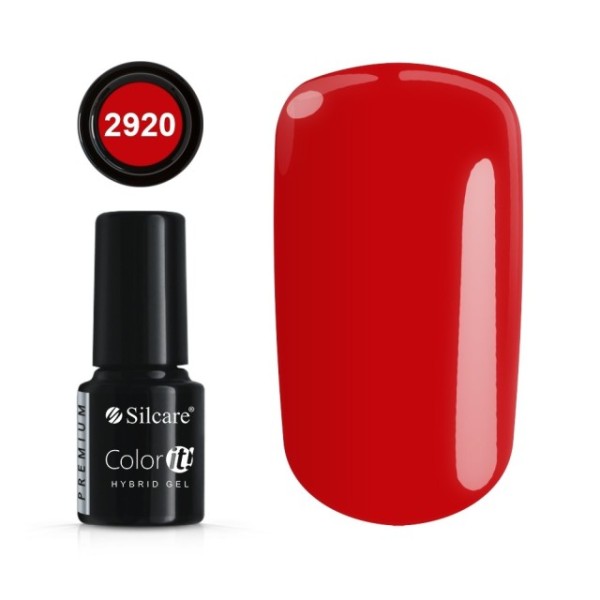 Color it! PREMIUM - Nr 2920 Silcare 4,30 €