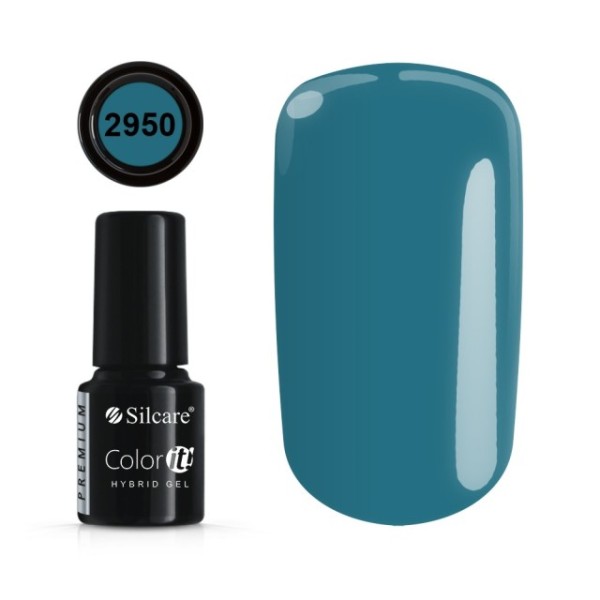 Color it! PREMIUM - Nr 2950 Silcare 4,30 €