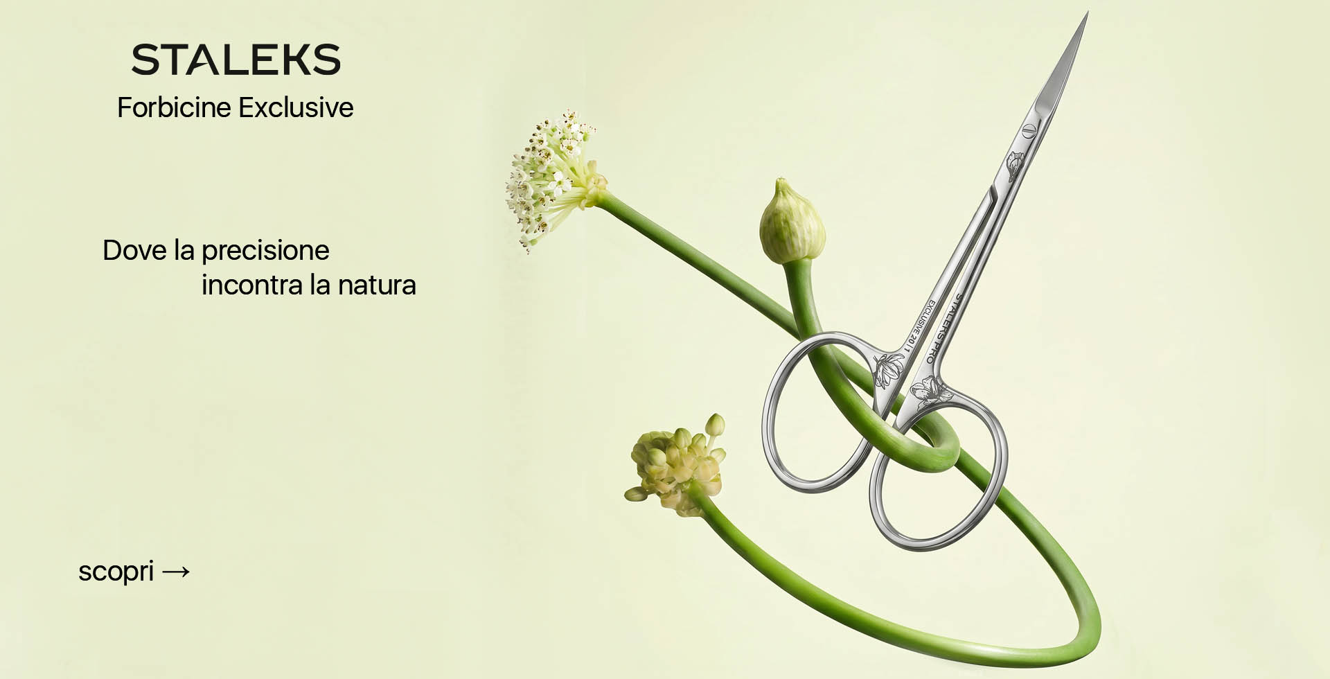 STALEKS Forbicine Exclusive – Dove la precisione incontra la natura. Scopri la collezione di forbici professionali.